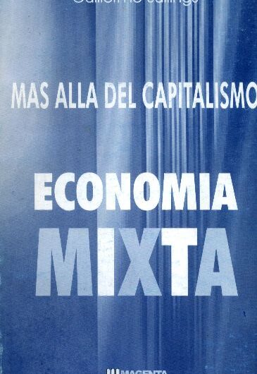 Video corso: Economia Mista